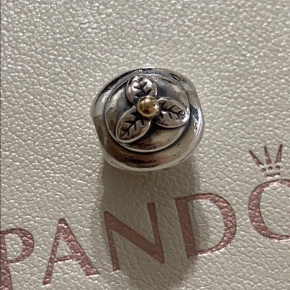 Pandora Authentic CupCake 🧁 Charm two tone !! - Picture 1 of 7